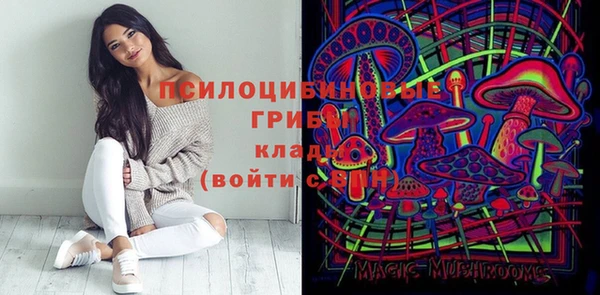 дживик Приозерск