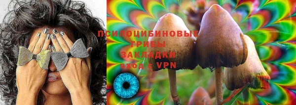ПСИЛОЦИБИНОВЫЕ ГРИБЫ Пролетарск