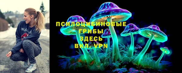 дживик Приозерск